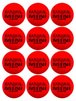 Karakal Mini Foam Tennis Balls Dozen