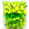 Prince Trainer Tennis Balls 60 Pack