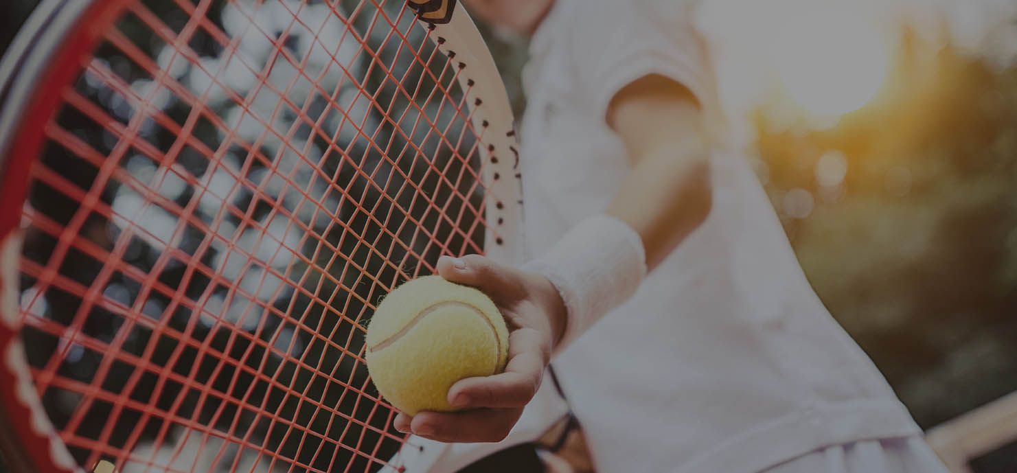 Tennis Equipment Store -Tennis Equipment Store efrf